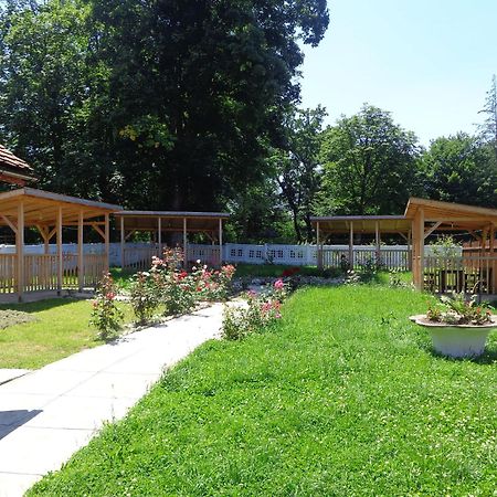Pensiunea Radu Cisnădie Pokoj fotografie