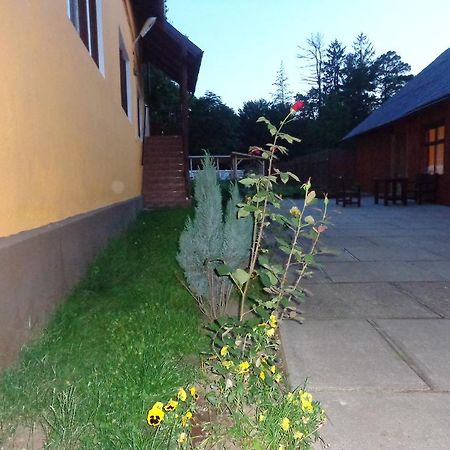 Pensiunea Radu Cisnădie Pokoj fotografie