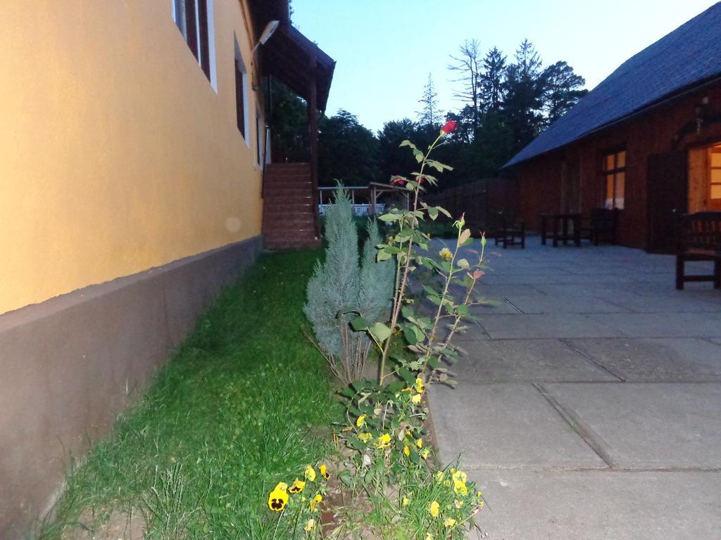 Pensiunea Radu Cisnădie Pokoj fotografie